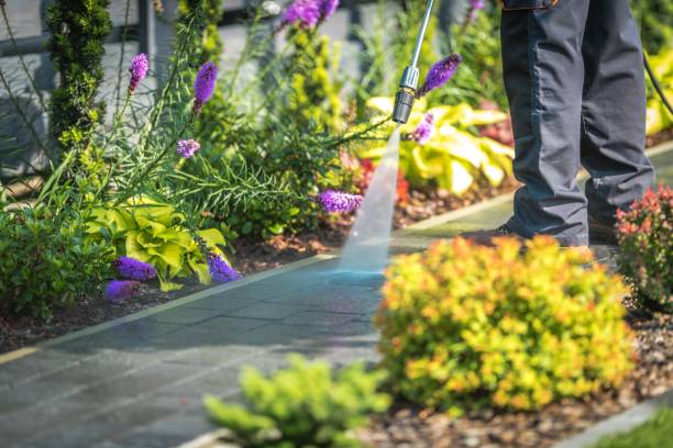 Best Patio and Deck Pressure Washing  in Auburn, NY